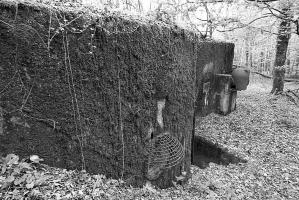 Ligne Maginot - BOIS DE KANFEN EST - C43 - (Casemate d'infanterie) - 
