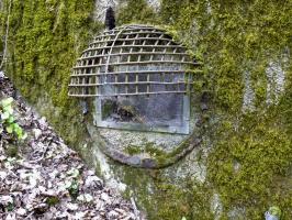 Ligne Maginot - BOIS DE KANFEN EST - C43 - (Casemate d'infanterie) - 