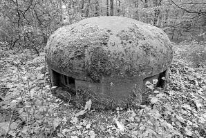 Ligne Maginot - BOIS DE KANFEN EST - C43 - (Casemate d'infanterie) - 