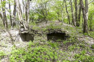 Ligne Maginot - BOIS DE KANFEN EST - C43 - (Casemate d'infanterie) - Niches a mines