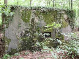 Ligne Maginot - CB421 - NEUWIESE 1 - (Blockhaus pour arme infanterie) - 