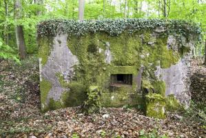 Ligne Maginot - CB421 - NEUWIESE 1 - (Blockhaus pour arme infanterie) - 