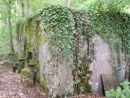 Ligne Maginot - CB421 - NEUWIESE 1 - (Blockhaus pour arme infanterie) - 