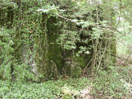 Ligne Maginot - CB422 - HART EST - (Blockhaus pour arme infanterie) - 