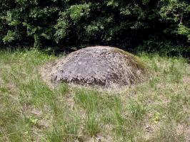 Ligne Maginot - HACKENBERG - A19 (Ouvrage d'artillerie) - Bloc 5
Cloche factice bétonnée.