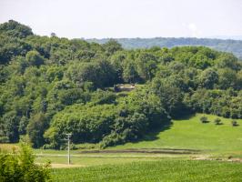 Ligne Maginot - HACKENBERG - A19 (Ouvrage d'artillerie) - Bloc 7
Vue depuis le bloc 7 sur la casemate Sud du Hummersberg.