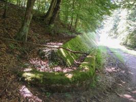 Ligne Maginot - HACKENBERG - A19 (Ouvrage d'artillerie) - Bloc 21
Départ du fossé antichar en direction du bloc 22.
