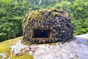 Ligne Maginot - HACKENBERG - A19 (Ouvrage d'artillerie) - Bloc 23
Cloche GFM camouflée