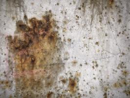 Ligne Maginot - HUTTINGUE - (Ouvrage d'infanterie) - Graffitis dans la coupole Ouest