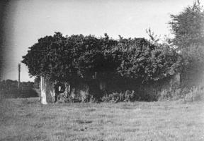 Ligne Maginot - B721 - TRIEUX du CHENEAU (Blockhaus pour canon) - Etat, en 1979..
