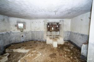 Ligne Maginot - B723 - FERME aux PUCES (Blockhaus pour canon) - 