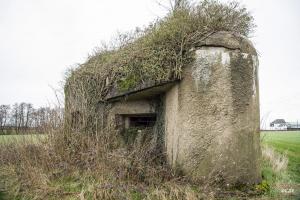 Ligne Maginot - B723 - FERME aux PUCES (Blockhaus pour canon) - 