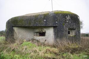 Ligne Maginot - B723 - FERME aux PUCES (Blockhaus pour canon) - 