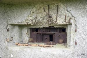 Ligne Maginot - B723 - FERME aux PUCES (Blockhaus pour canon) - 