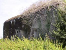 Ligne Maginot - B723 - FERME aux PUCES (Blockhaus pour canon) - 