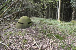 Ligne Maginot - B726 - FERME MIQUET (Blockhaus pour canon) - 