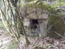 Ligne Maginot - CLAIRIERE - (Blockhaus pour arme infanterie) - 