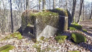 Ligne Maginot - FM39 - DIEBSKOPF 1 - (Blockhaus pour arme infanterie) - Détail du crépis de camouflage