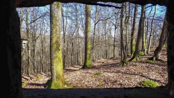 Ligne Maginot - FM39 - DIEBSKOPF 1 - (Blockhaus pour arme infanterie) - Vue depuis le créneau latéral droit, sur le chemin et le versant nord du collet