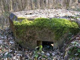 Ligne Maginot - M25 - FINSTERTHAL 2 - (Blockhaus pour arme infanterie) - 