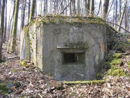 Ligne Maginot - M81 - FINSTERTHAL 3 - (Blockhaus pour arme infanterie) - 