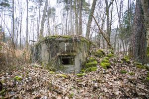 Ligne Maginot - M81 - FINSTERTHAL 3 - (Blockhaus pour arme infanterie) - 