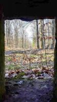 Ligne Maginot - FM31 - NONNENHARDT CENTRE 4 - (Blockhaus pour arme infanterie) - Vue depuis le créneau latéral droit