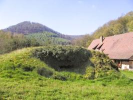 Ligne Maginot - FM127 - PETIT MUEHLBERG Nord (Blockhaus pour arme infanterie) - Le bloc, habilement intégré au terrain