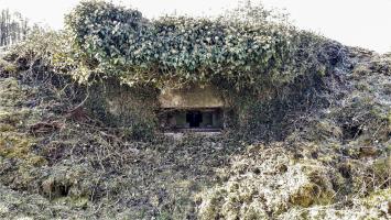 Ligne Maginot - FM127 - PETIT MUEHLBERG NORD - (Blockhaus pour arme infanterie) - Le bloc vue de face