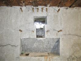 Ligne Maginot - FM127 - PETIT MUEHLBERG NORD - (Blockhaus pour arme infanterie) - Le créneau pour mitrailleuse