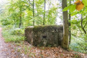 Ligne Maginot - GOERSDORF  - (Blockhaus pour arme infanterie) - 