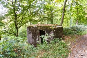 Ligne Maginot - GOERSDORF  - (Blockhaus pour arme infanterie) - 
