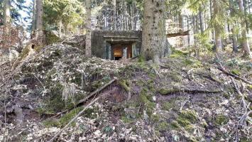 Ligne Maginot - C10 - GUNSTHAL 3 - (Blockhaus pour canon) - Vue sur le créneau antichar