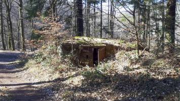 Ligne Maginot - C10 - GUNSTHAL 3 - (Blockhaus pour canon) - L'entrée