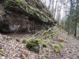 Ligne Maginot - PETIT STEINBERG - (Abri) - Les ruines d'un abri maçonné.