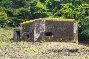 Ligne Maginot - LANGTHAL 1 - (Blockhaus pour arme infanterie) - Vue sur le créneau FM latéral