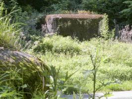 Ligne Maginot - LANGTHAL 1 - (Blockhaus pour arme infanterie) - Langthal 1 vue depuis Langthal 2