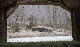 Ligne Maginot - LANGTHAL 1 - (Blockhaus pour arme infanterie) - Vue depuis le créneau FM latéral