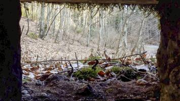 Ligne Maginot - LANGTHAL 1 - (Blockhaus pour arme infanterie) - Vue depuis le créneau droit du blockhaus