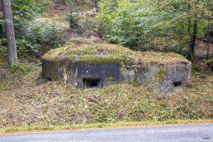 Ligne Maginot - LANGTHAL 2 - (Blockhaus pour arme infanterie) - Vue sur le créneau FM latéral