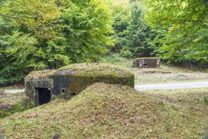 Ligne Maginot - LANGTHAL 2 - (Blockhaus pour arme infanterie) - Vue sur l'entrée et Langthal 1