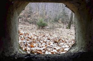Ligne Maginot - LANGTHAL 2 - (Blockhaus pour arme infanterie) - Vue depuis le créneau FM de défense de l'entrée