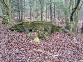 Ligne Maginot - M80 - FINSTERTHAL 4 - (Blockhaus pour arme infanterie) - Vue extérieure des deux embrasures
