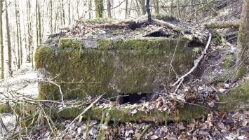 Ligne Maginot - M13 - NONNENHARDT OUEST 2 - (Blockhaus pour arme infanterie) - Créneau latéral