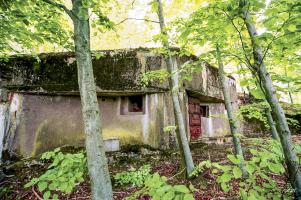 Ligne Maginot - NONNENHARDT N°2 - (Blockhaus pour arme infanterie) - Vue générale vers la chambre de tir