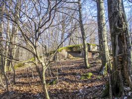 Ligne Maginot - NONNENHARDT N°2 - (Blockhaus pour arme infanterie) - Le blockhaus dans le bois de Nonnenhardt