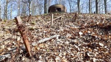 Ligne Maginot - NONNENHARDT N°2 - (Blockhaus pour arme infanterie) - Réseau barbelés devant la cloche GFM