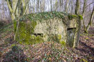 Ligne Maginot - MBA13 - (Blockhaus pour arme infanterie) - 