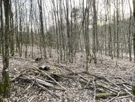 Ligne Maginot - U - (Chambre de coupure) - L'emplacement de la chambre de coupure par rapport au chemin forestier à proximité