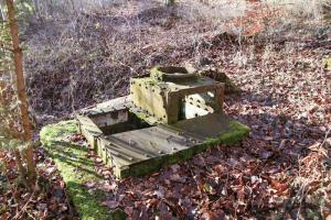 Ligne Maginot - SAUER (OBSERVATOIRE FT RADIO DE) - (Observatoire d'infanterie) - 